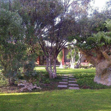 Villa Buschberg guest farm Outjo Exterior foto