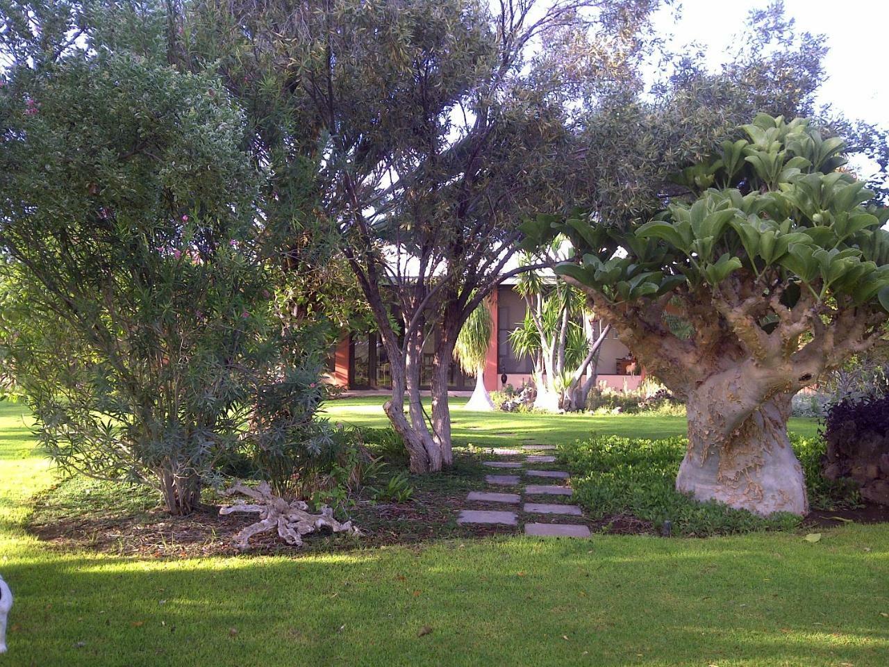 Villa Buschberg guest farm Outjo Exterior foto
