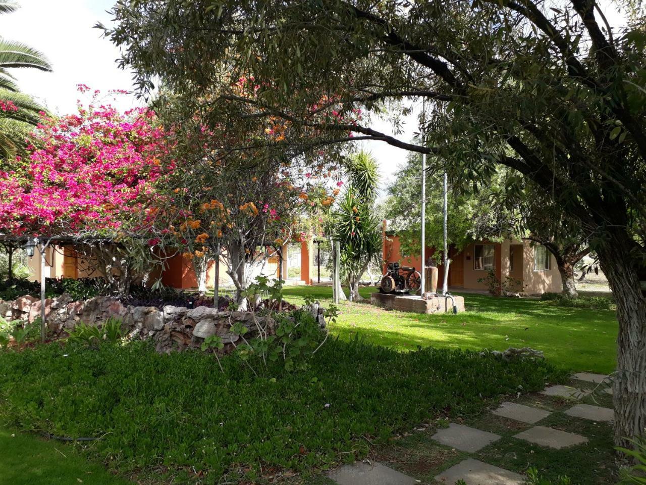 Villa Buschberg guest farm Outjo Exterior foto
